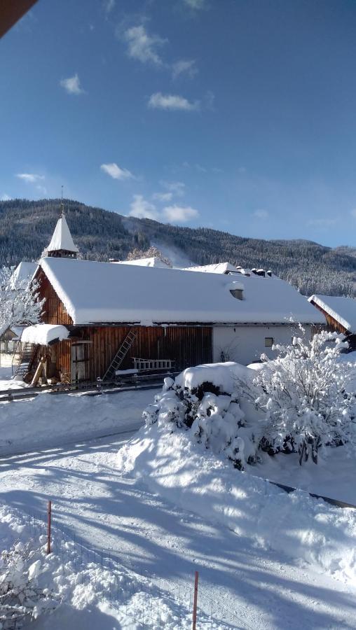 Chalet Dorfer Vila St. Lorenzen ob Murau Exterior foto
